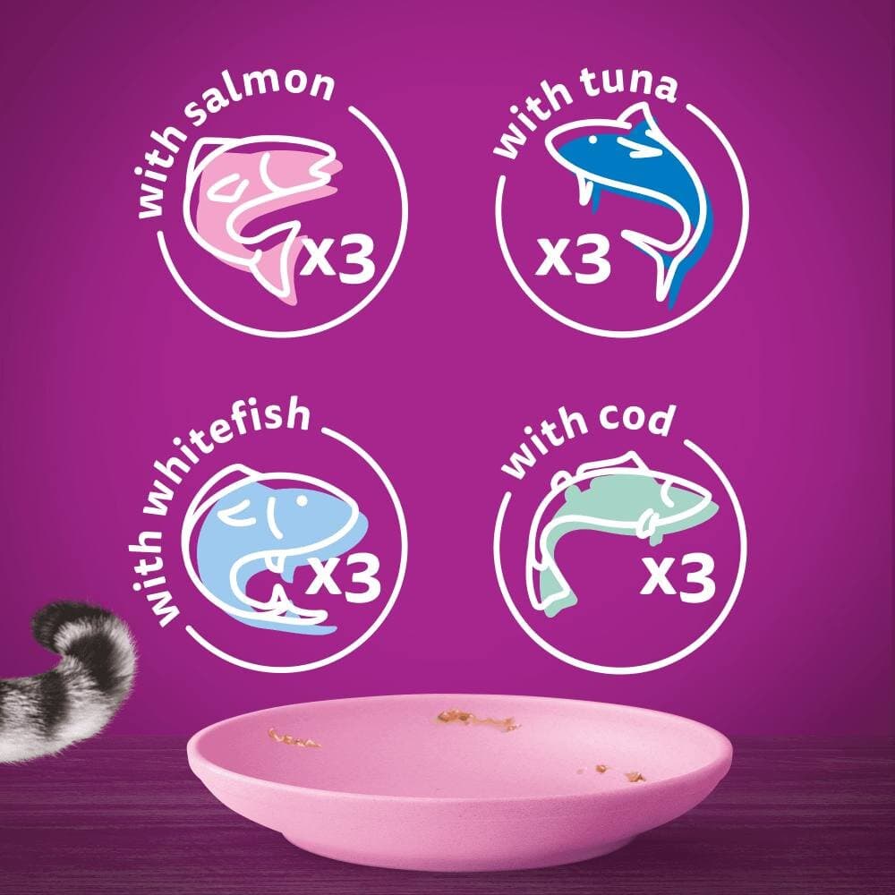 Whiskas Kitten Fish Favourite in Jelly - 12X 2