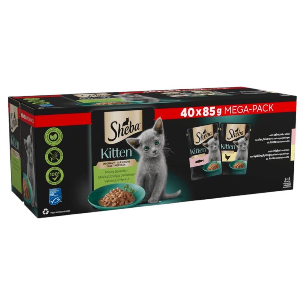 Sheba Kitten Chicken & Salmon - 40X