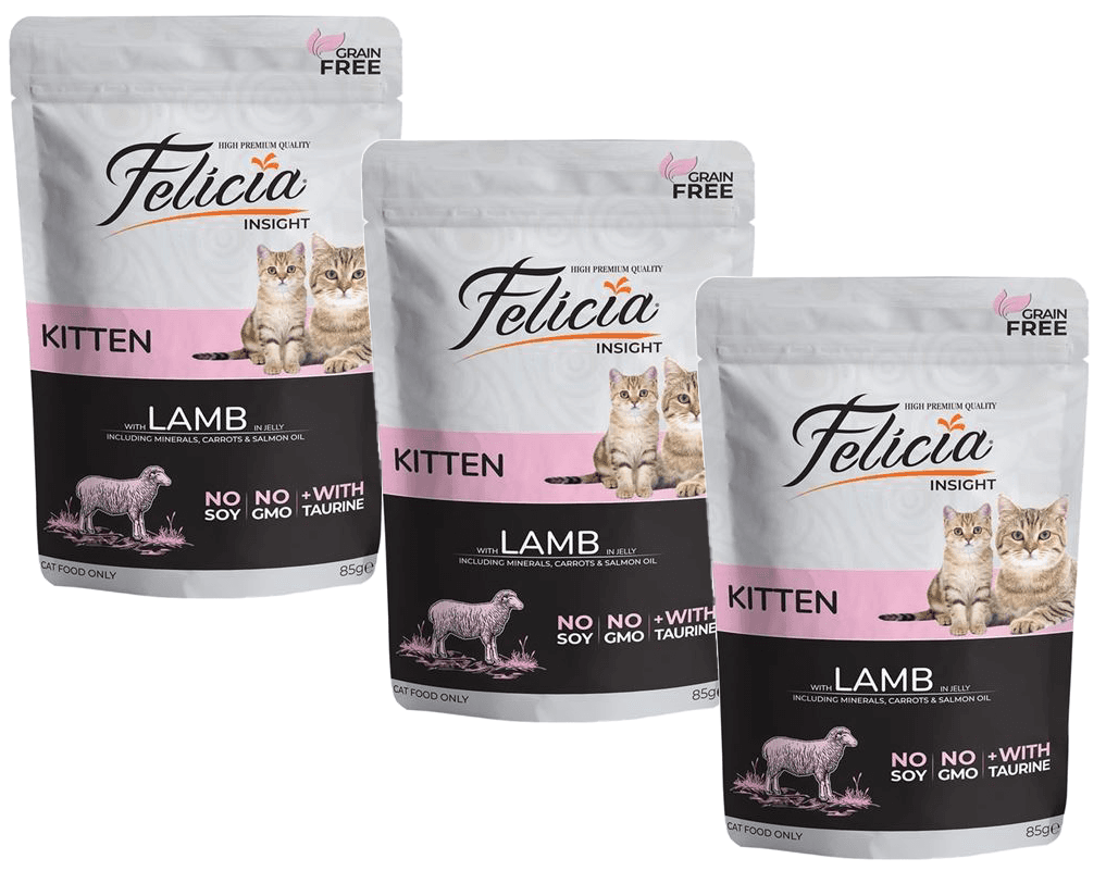 Felicia Kitten Lamb - 12x