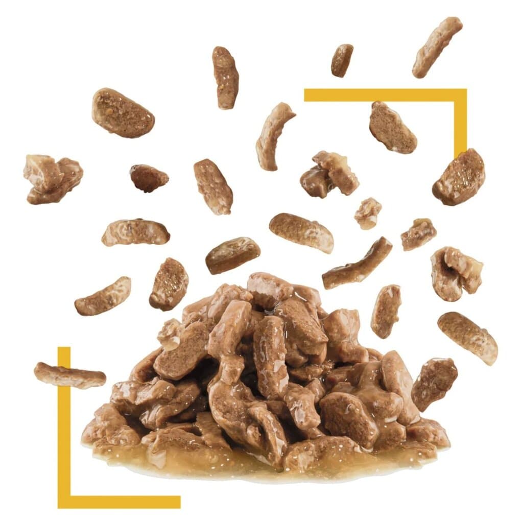 Royal Canin Sensory Taste - 85g 3