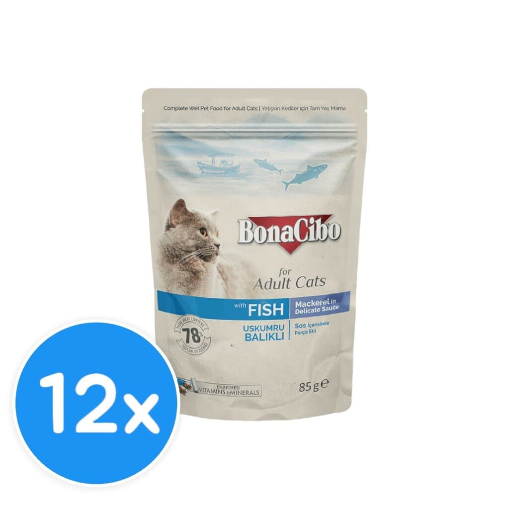Bonacibo Adult Fish - 12x