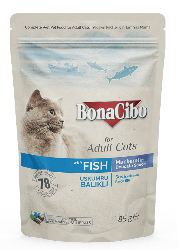 Bonacibo Adult Fish - 1x 1