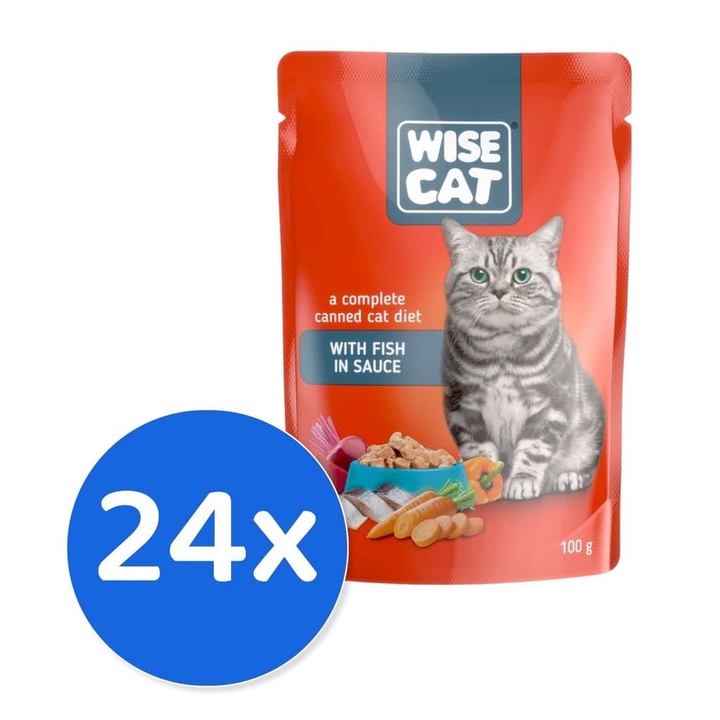 Wise Cat Fish - 24X