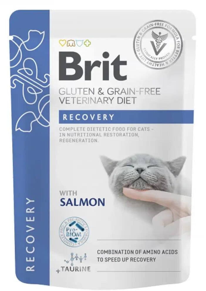 Brit Recovery with Salmon - 85g