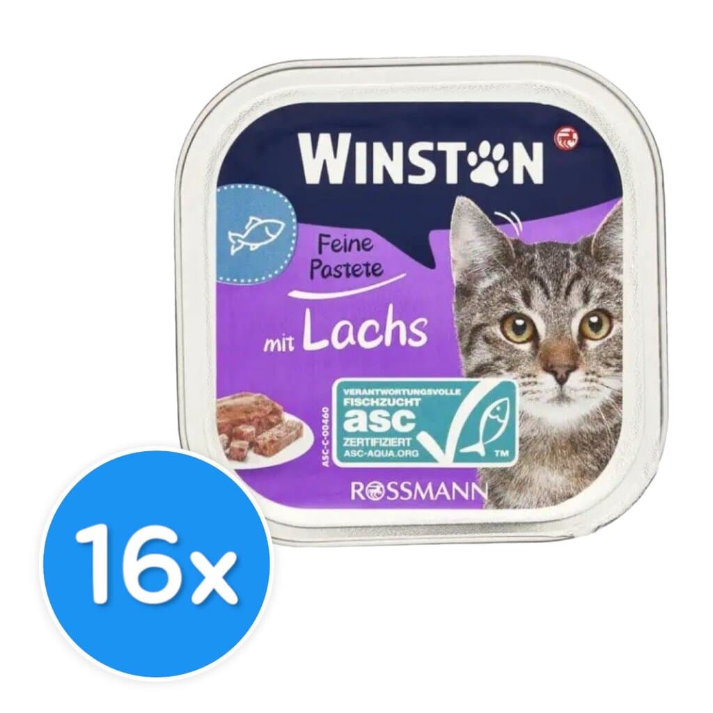 Winston Adult with Salmon - 16X