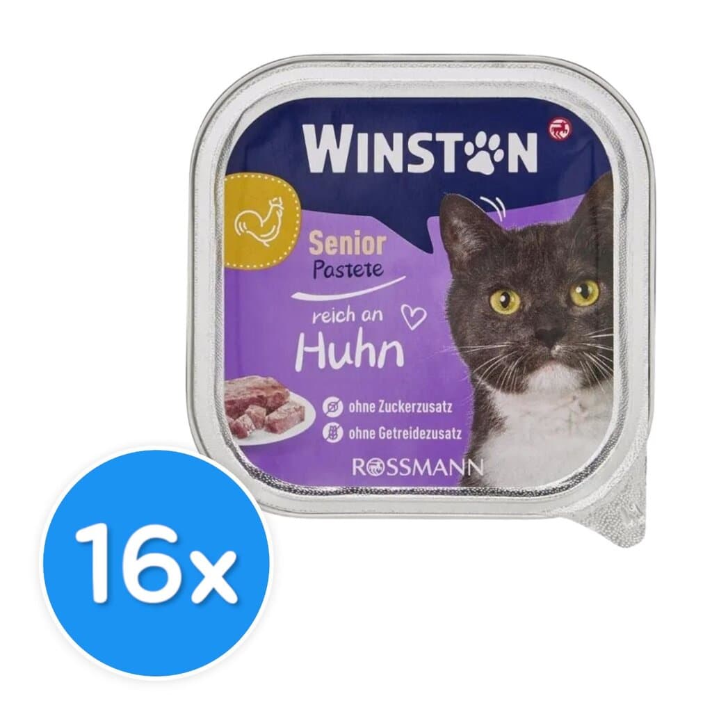 Winston Senior With Chicken - 16X