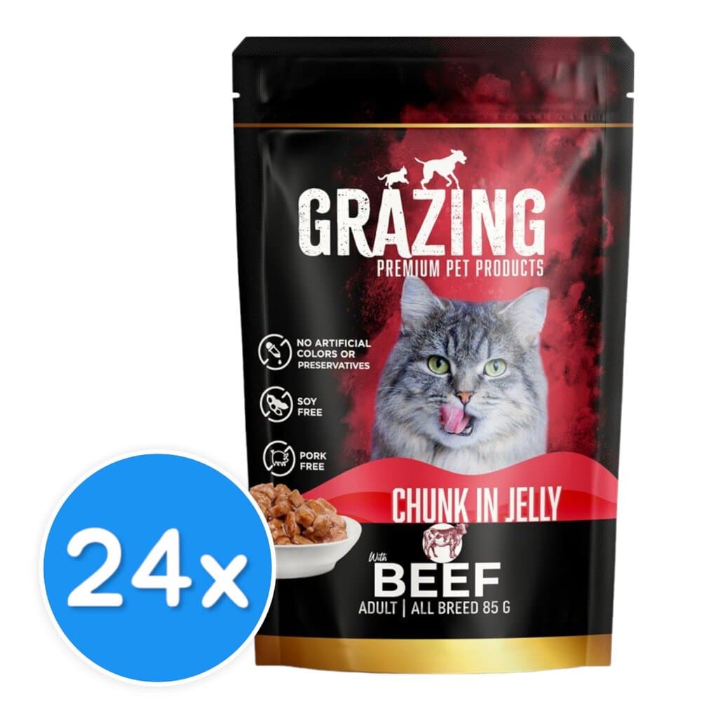 Grazing Beef - 24X
