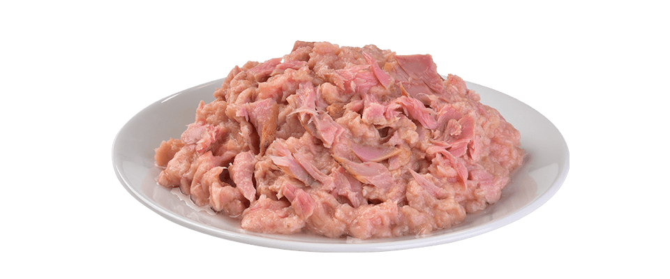 Brit Tuna Fillets - 70g 2