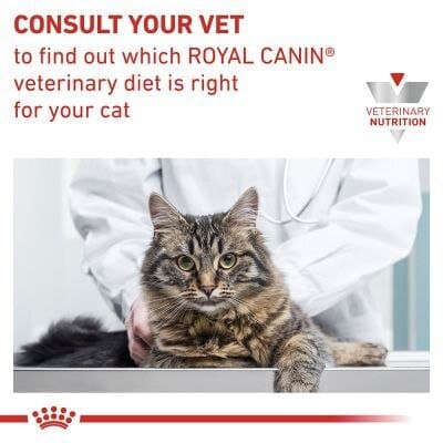 Royal Canin Skin & Coat - 12x 3