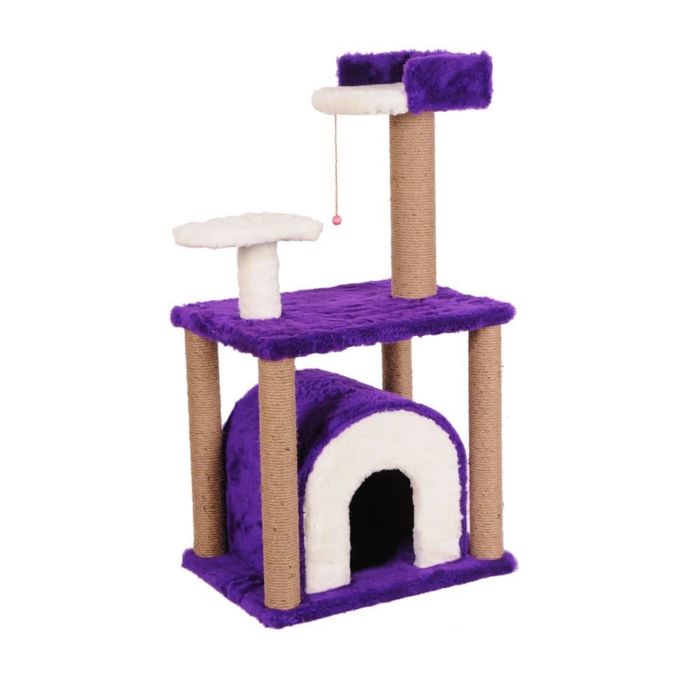 House & Scratcher
