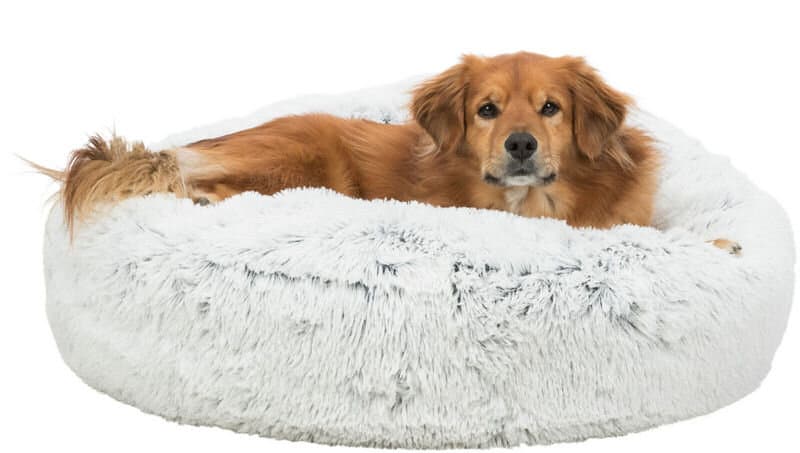 Harvey cushion - 60cm 2
