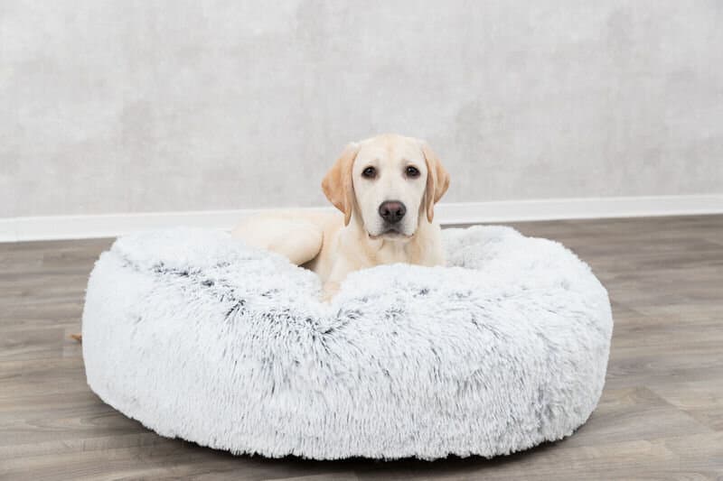 Harvey cushion - 60cm 3