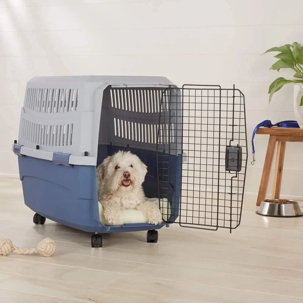 Travel Carrier Box - 65cm 5