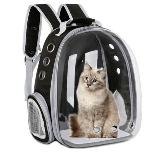 KOVA Pet Carriage Bag 2