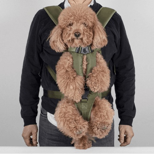 Pet Carrier - XL 2