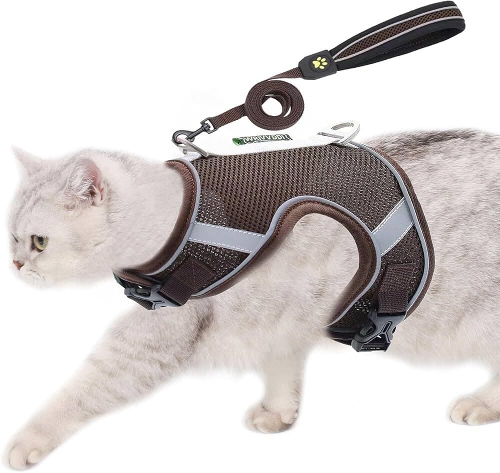 Soft Harness & Leash - L