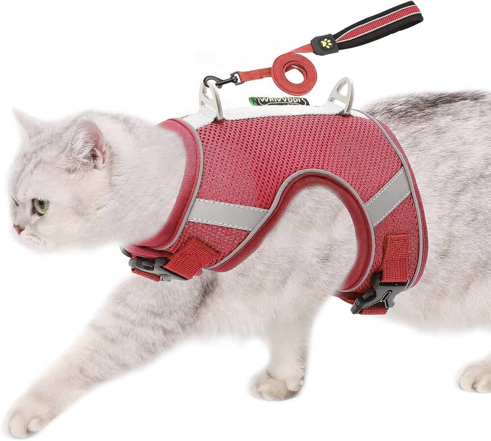 Soft Harness & Leash - M