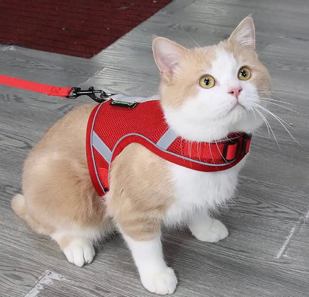 Soft Harness & Leash - L 2