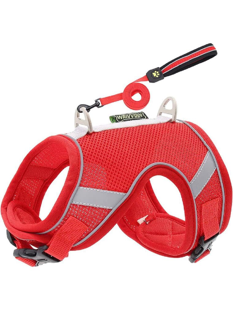 Soft Harness & Leash - L 3