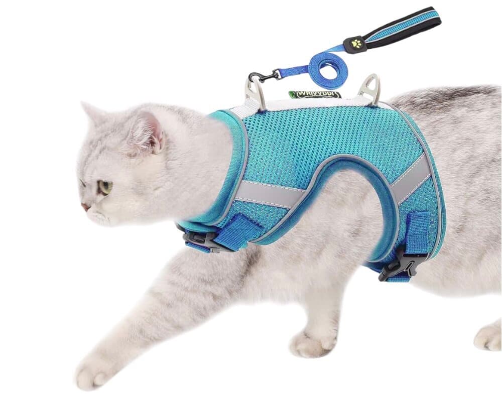 Soft Harness & Leash - S
