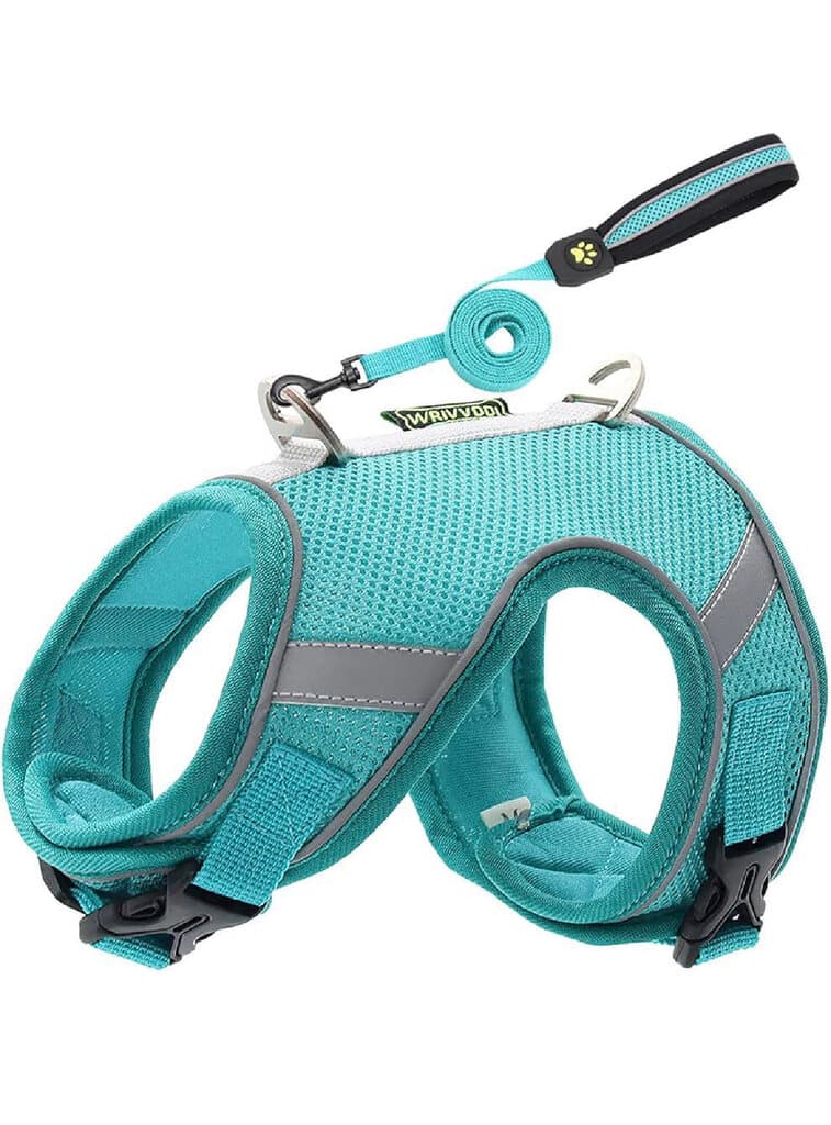 Soft Harness & Leash - S 2