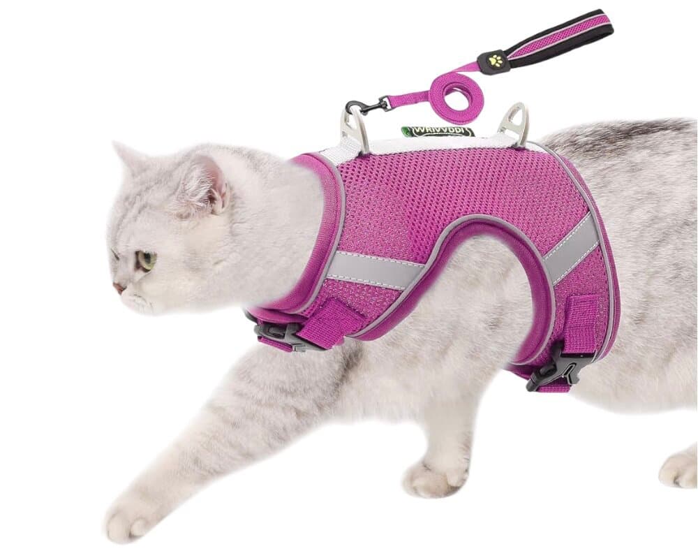 Soft Harness & Leash - M