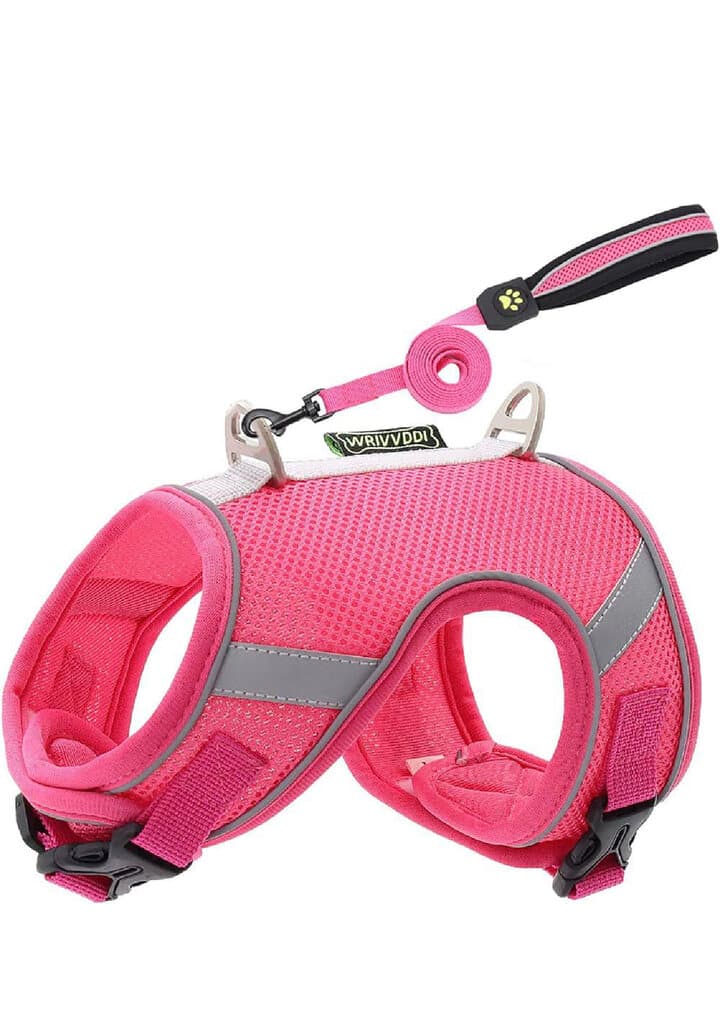 Soft Harness & Leash - M 2