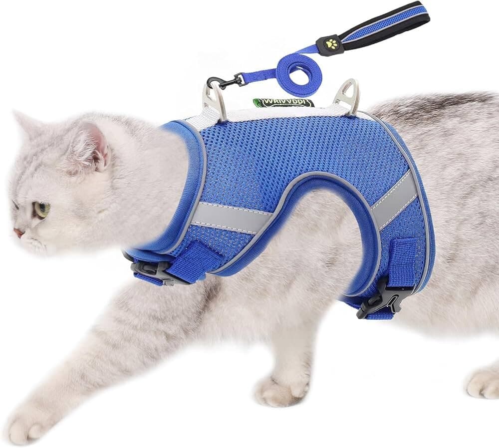 Soft Harness & Leash - L 1