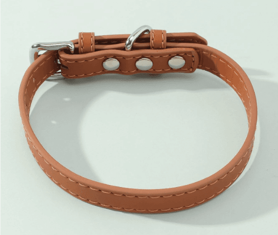 Collar - M 2