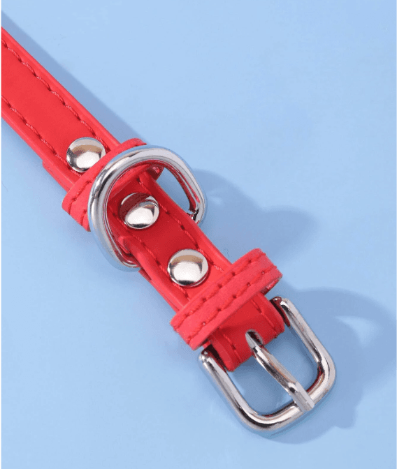 Collar - M 3