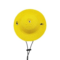 Pet Hat - M — photo 1