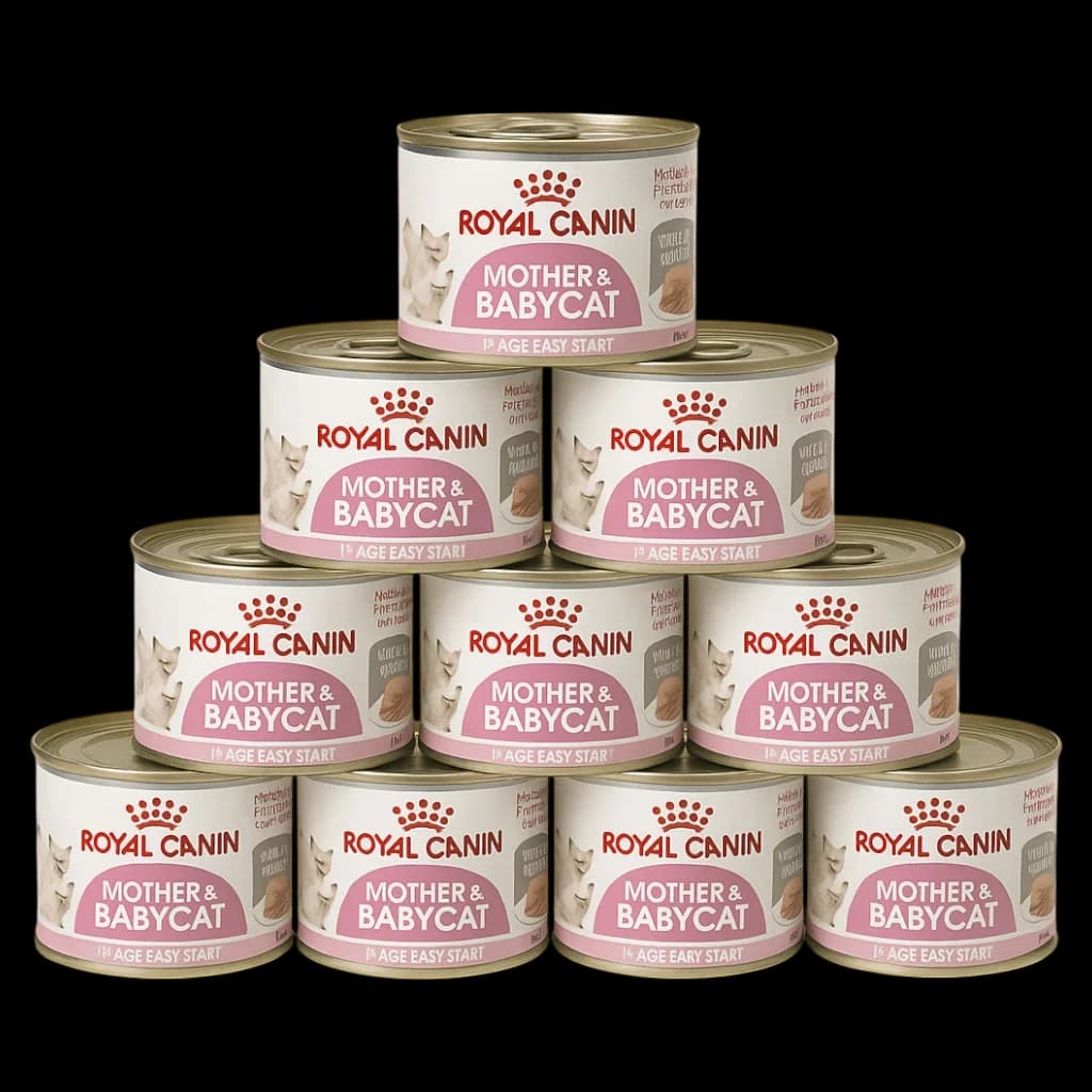 Royal Canin Mother & Babycat - 12x