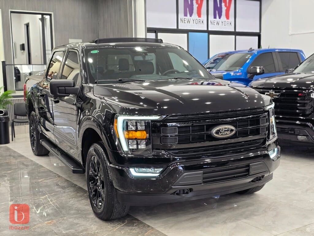 Ford F-150 Pickup FX4