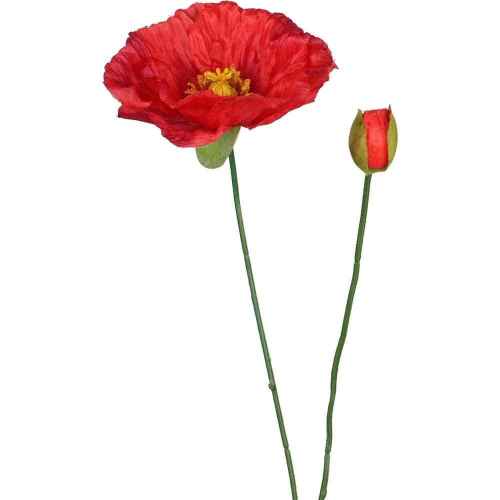 Koopman Poppy Stem 71Cm Red - 318800340