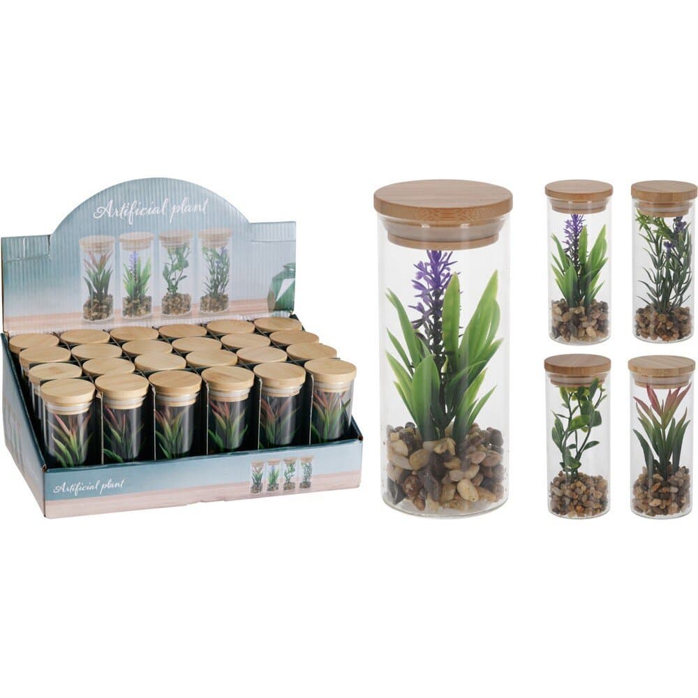 Koopman Plant In Glass Bamboo Lid - HZ1952830