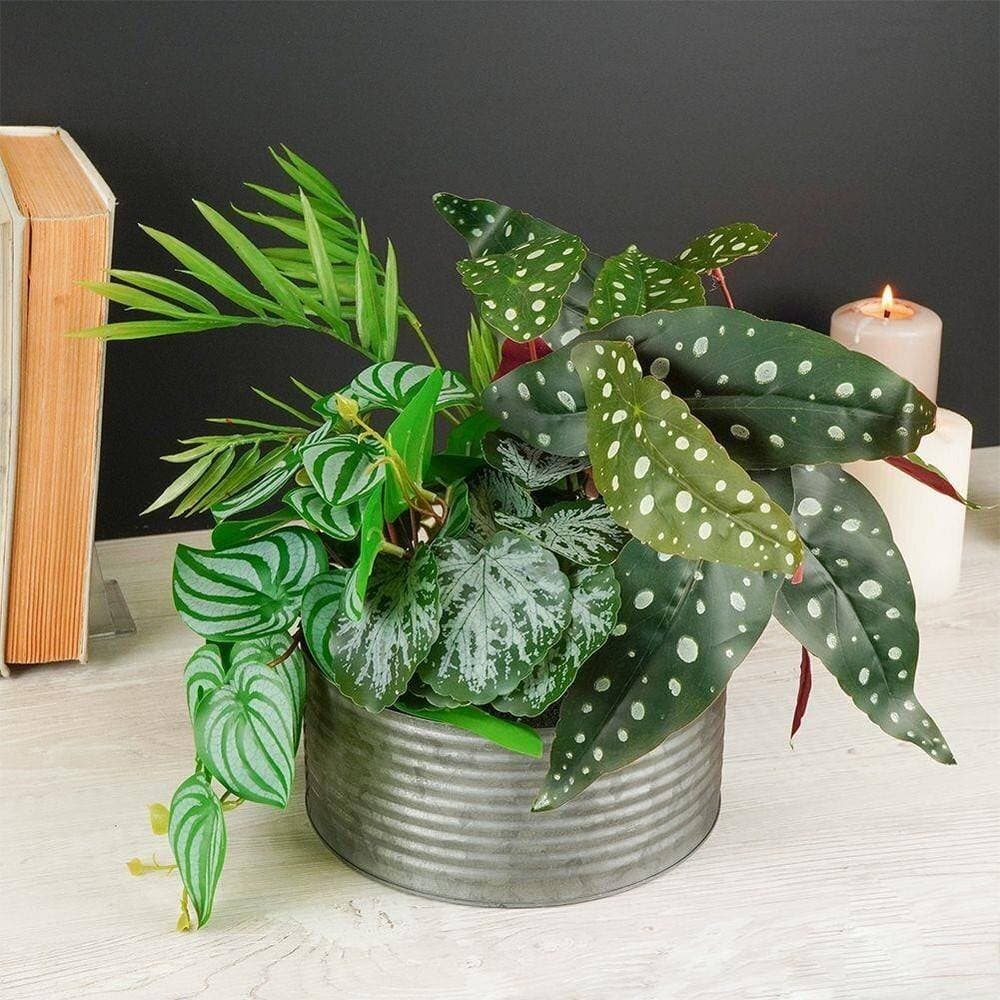 Koopman Artificial Plant In Pot H28Cm