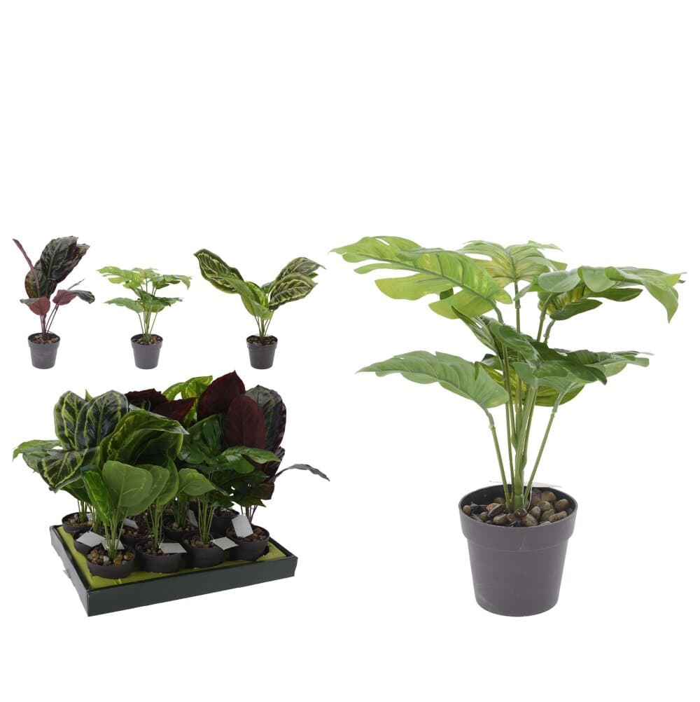 Koopman Artificial Plant 4Ass Clr