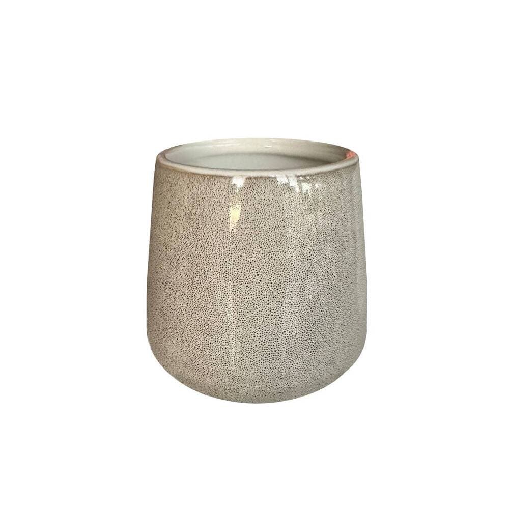 Primanova Bjorn Toothbrush Holder - D-21142