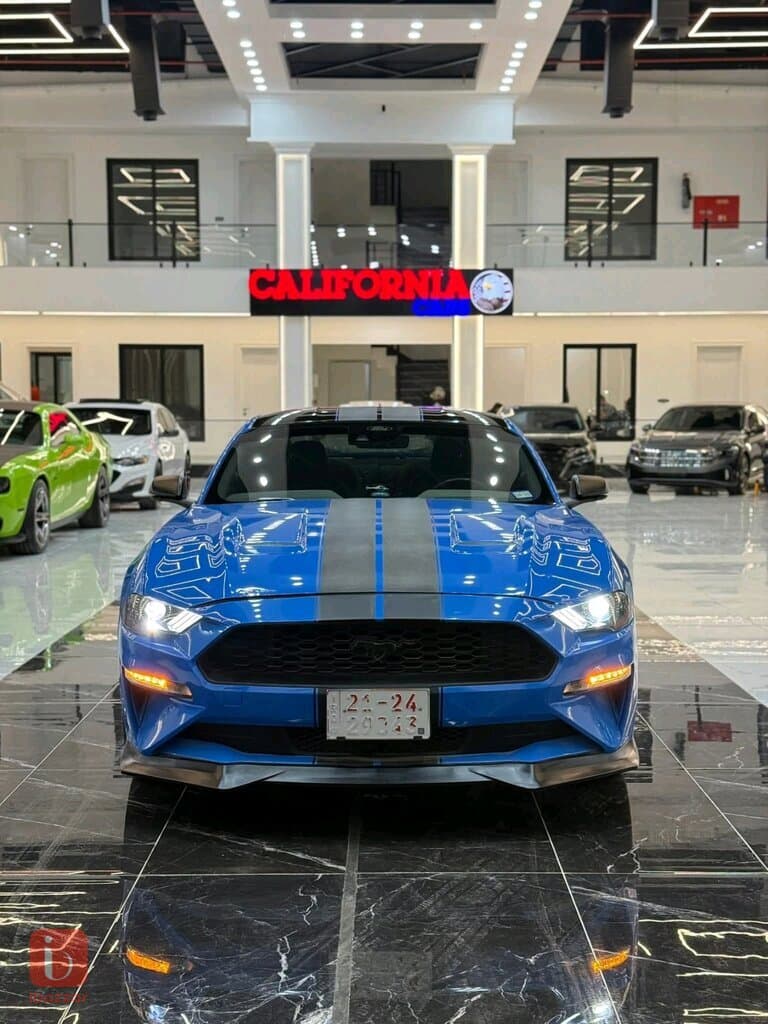 Ford Mustang Ecoboost Premium 2