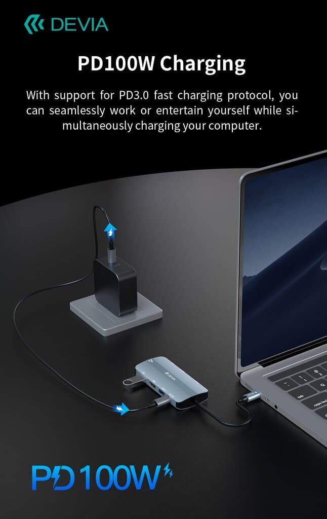 DEVIA Leopard Series 9 In 1 HUB 4