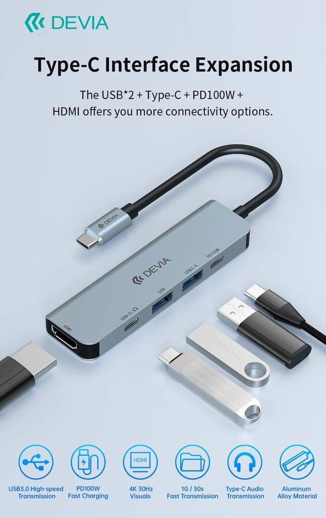DEVIA Leopard Series C to USB*2+C+PD 100W+HDMI(4K) 5 In 1 HUB 4