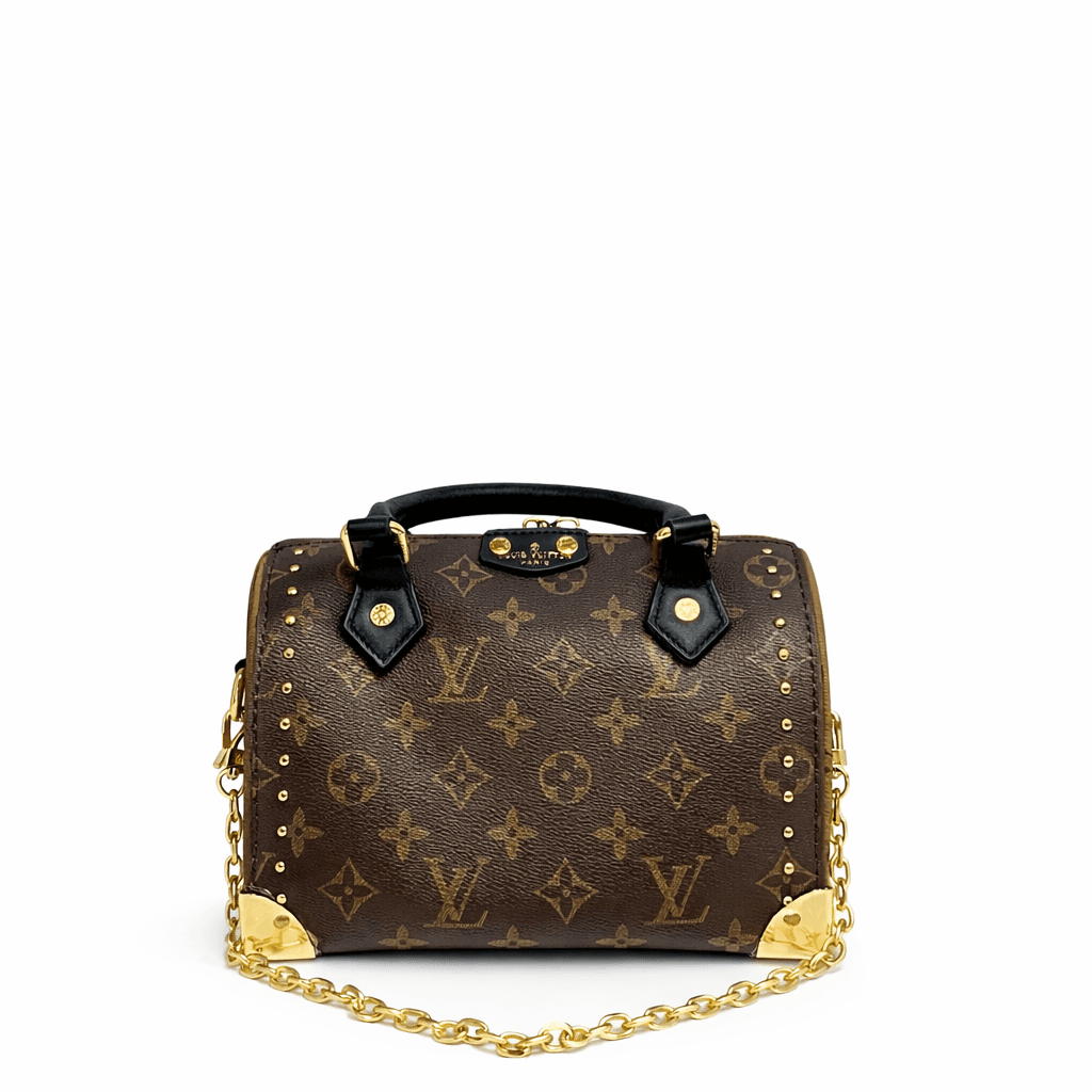 Louis Vuiton Women's Handbag - Master Quality - Brown