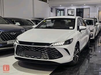 BYD Destroyer