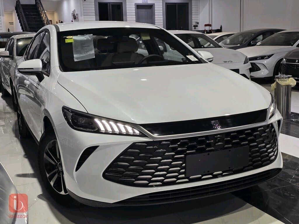 BYD Destroyer — photo 2