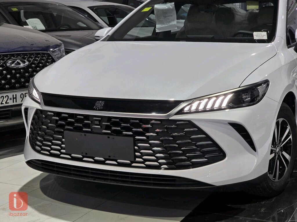 BYD Destroyer — photo 3