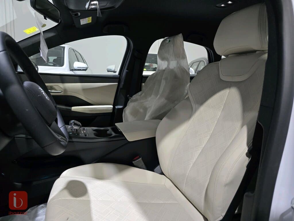 BYD Destroyer — photo 7