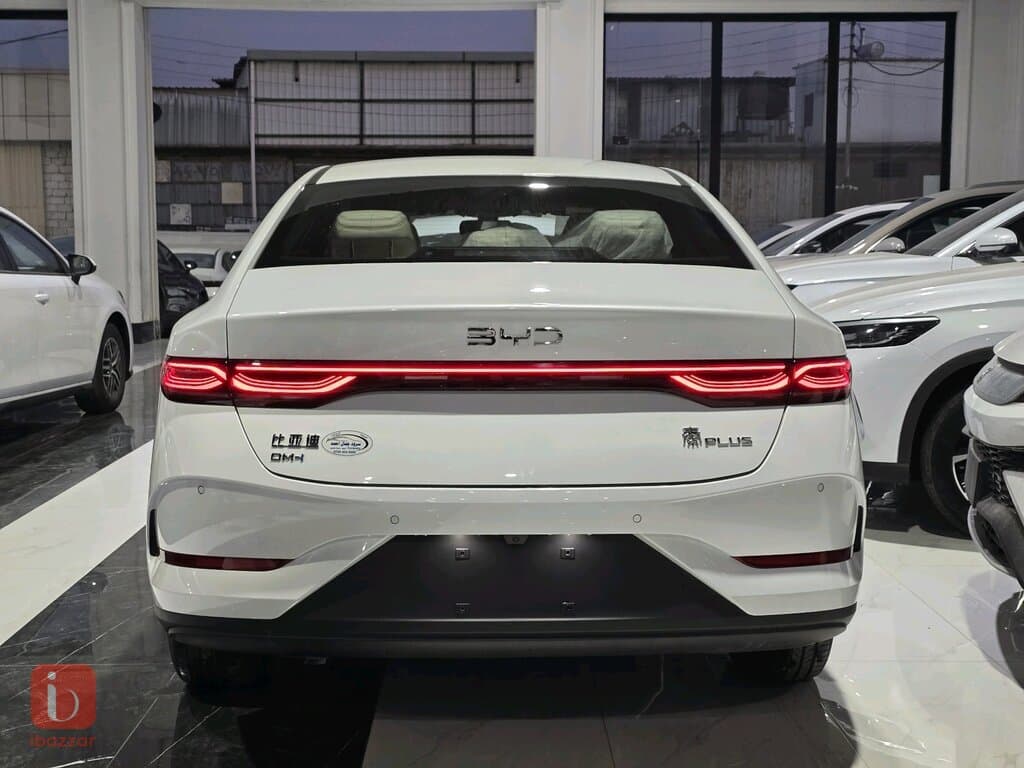 BYD Destroyer — photo 8