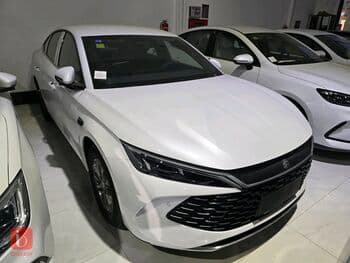 BYD Destroyer