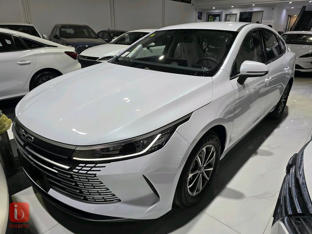 BYD Destroyer — photo 2