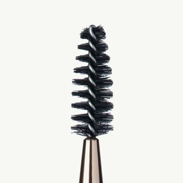Anastasia Brush 12 4
